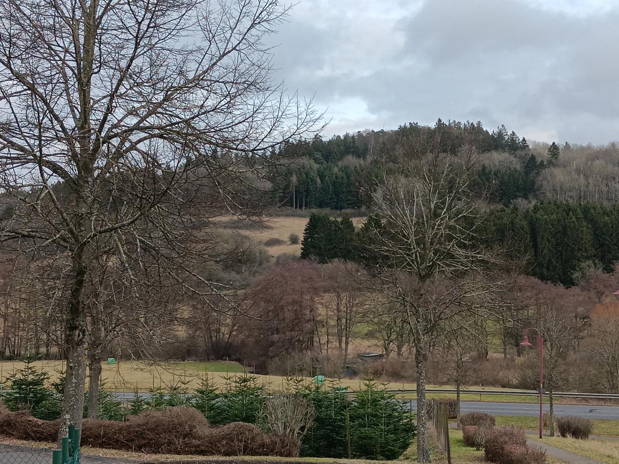 Ferienwohnung Schwarzenbergblick Kelberg Esterno foto